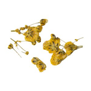 PEGGY SAGE Decoración de uñas flores secas - yellow branches