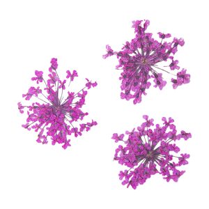 PEGGY SAGE Decoración de uñas flores secas - pink bouquet