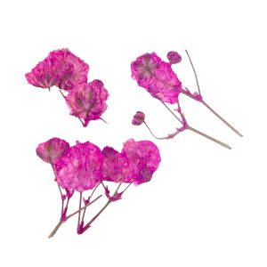 PEGGY SAGE Decoración de uñas flores secas - pink branches