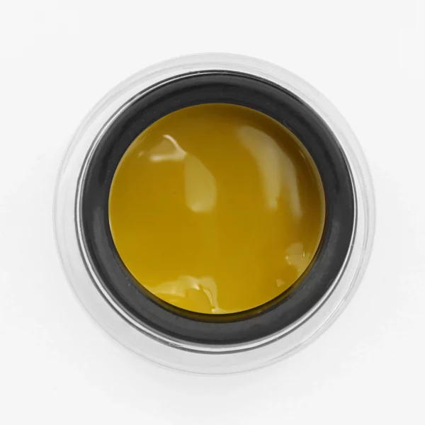 YOSHI Paint Gel YELLOW 5g - Imagen 3